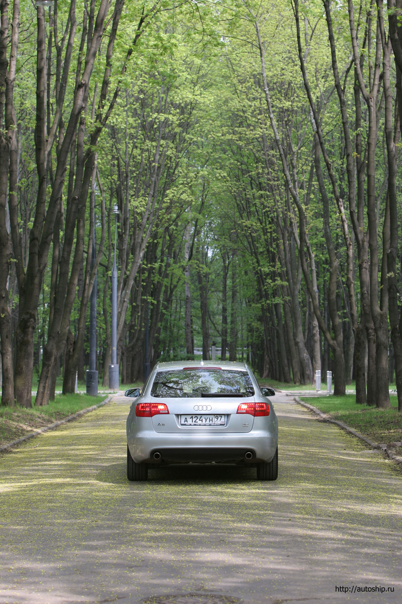 audi a6 avant