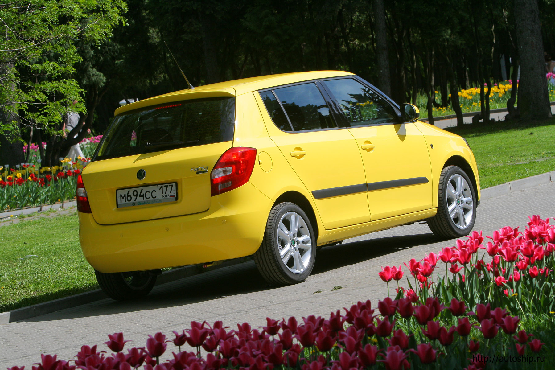 skoda fabia new