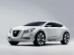  Suzuki Kizashi   -