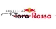  Toro Rosso      